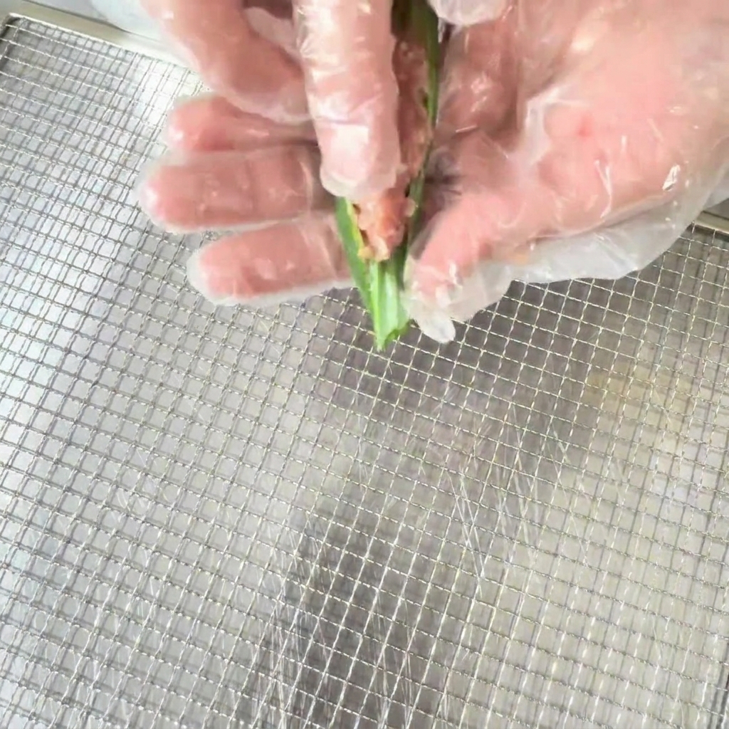 食品用手袋をした手で、半分に切ったオクラに鴨肉の混合物を詰めている様子。