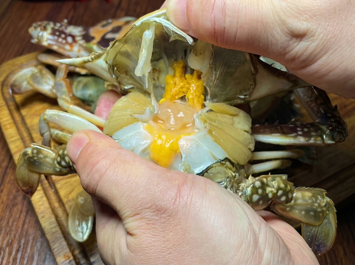 カニの甲羅とエラを取り除き、手で洗っている様子。