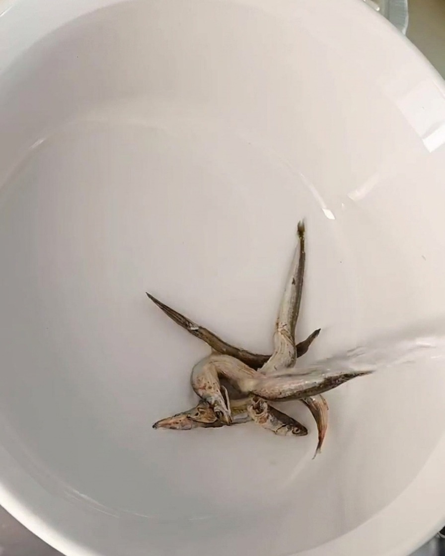 白い陶器の鍋の底に小さな煮干しがいくつか置かれ、そこへ水が注がれている様子。