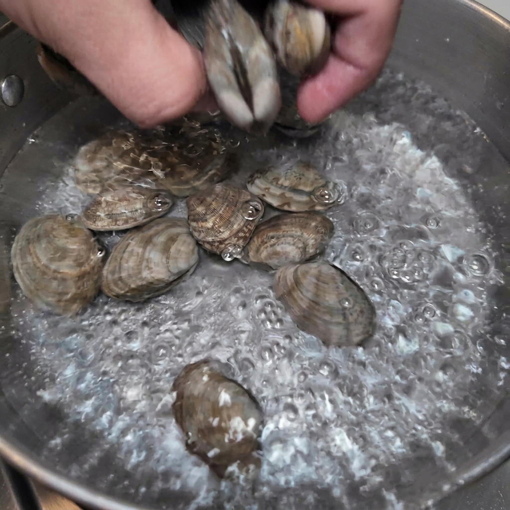 沸騰したお湯の入った鍋に新鮮なあさりを入れている様子。