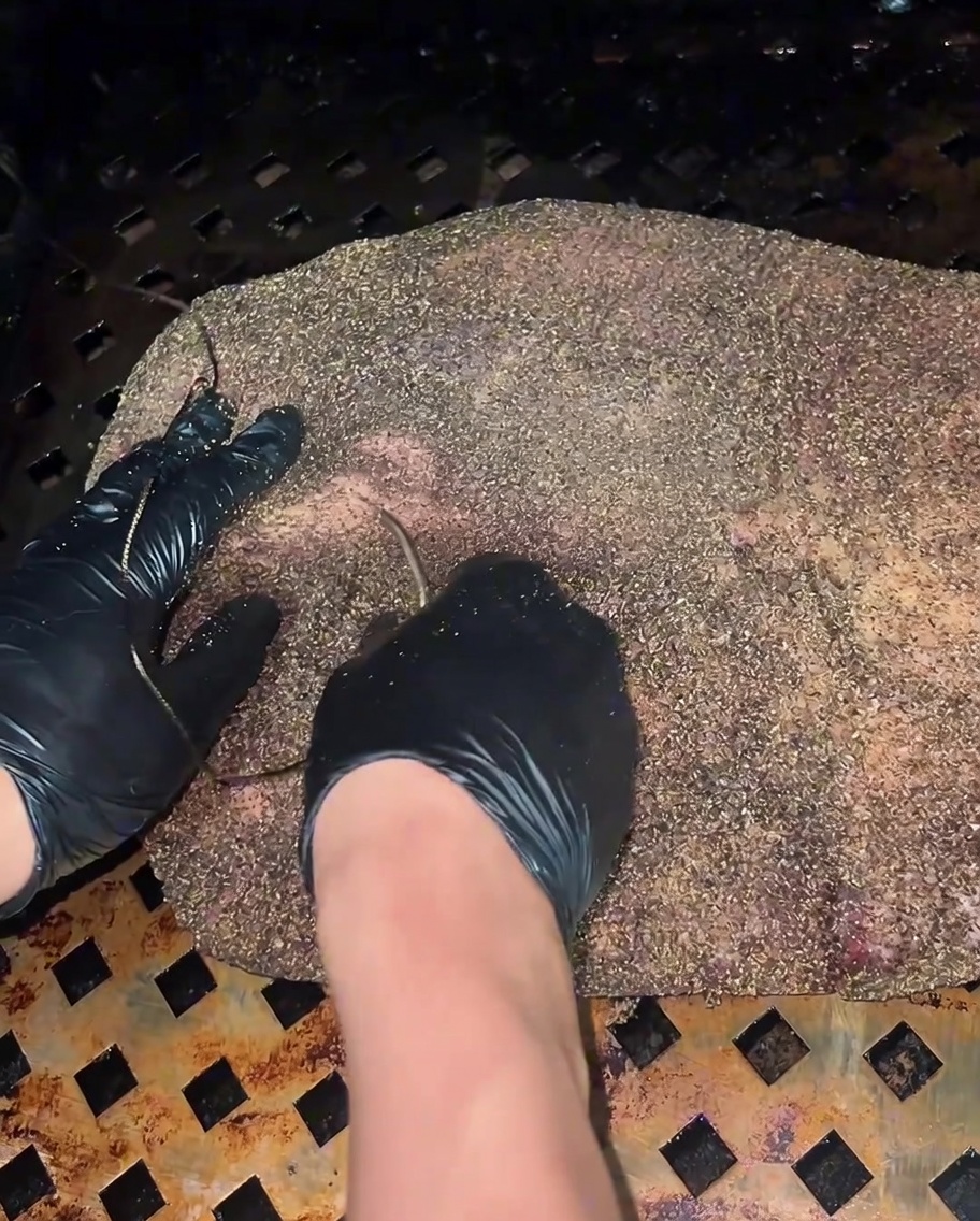 色が濃くなりつつあるスモーク中のブリスケットの表面に、スプレーボトルで霧吹きをしている様子。