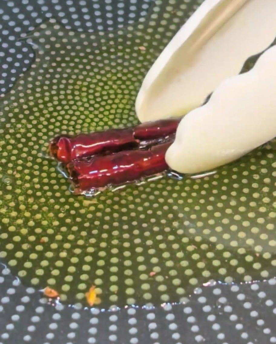 熱い油からトングで黒っぽくなった唐辛子を慎重に取り出している様子。