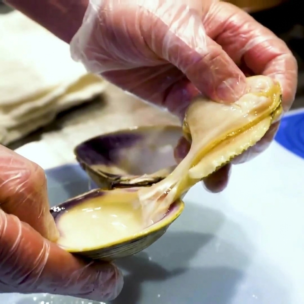 手袋をした手で、加熱したアサリの身をほぐし、黒い内臓部分を取り除いている様子
