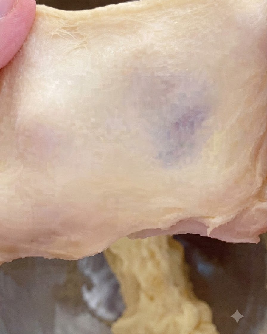 厚みがあり、やや粗い質感と破れ模様を示すために引っ張られている生地の一部。