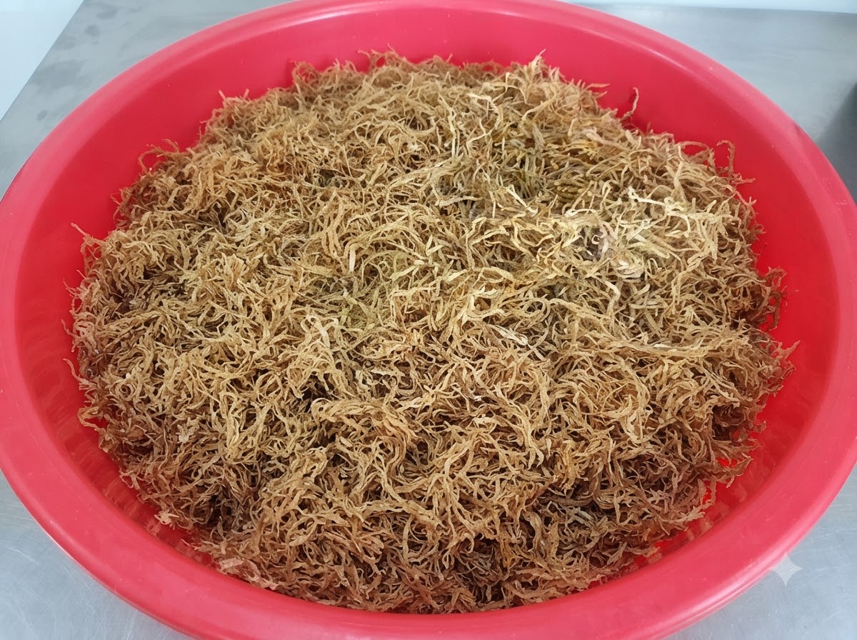 赤い basin の中で、手で混ぜられながら、大根とスパイスの混合物に冷ました煮汁が注がれている様子。