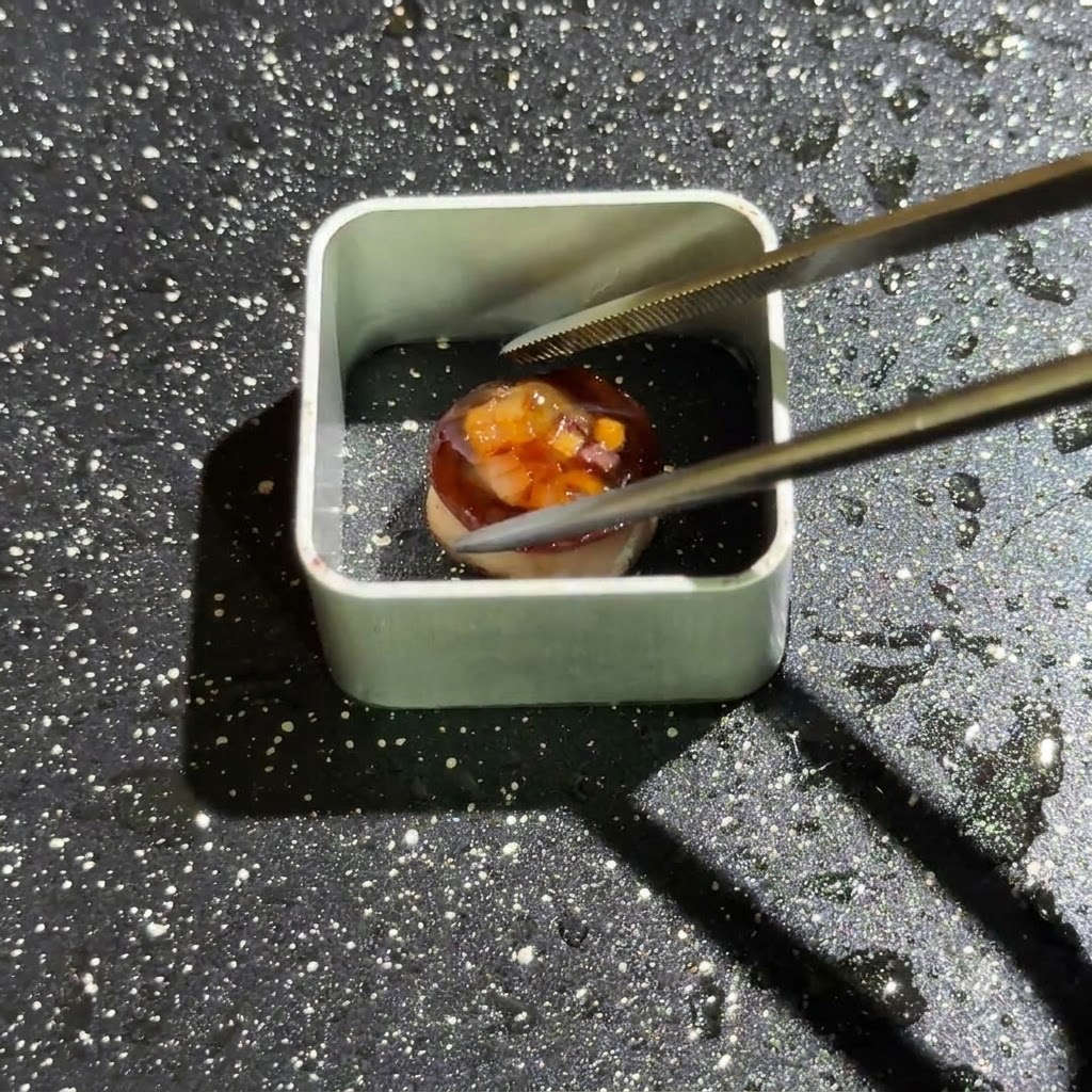 油を引いたフライパンに置かれた四角い金属製モールドの中に、小さなキノコのパーツがピンセットで配置されている様子。